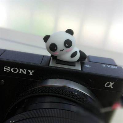 Suitable for Canon 200D200DII second generation SLR camera panda hot boot EOS camera flash cover