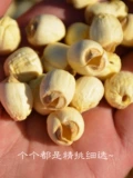 2023 Новый перевозчик Jianning Lotus Slot Dry Cargo 250G SURLFUR -FREE -Core White Lotus Lotus Corporation Building Lotus Lotus