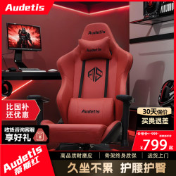 Audetis Chair, Gaming Chair, Computer Chair, Home Comfort Chair, Long Sitting Chair, Streamer Chair, Men's Ergonomic Chair