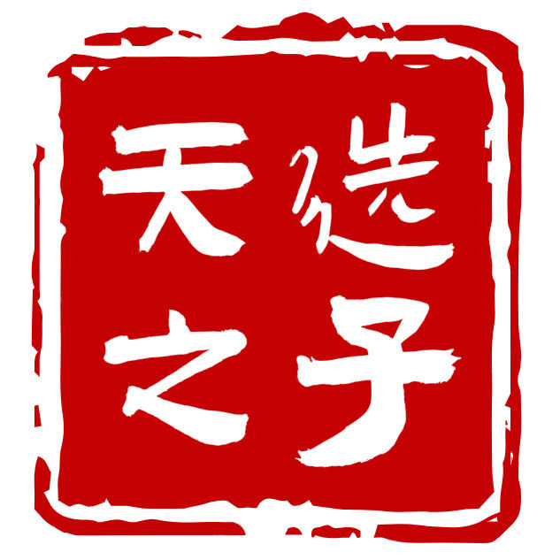 天选之子文创的LOGO