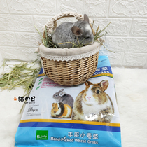 Jolly Zuli hand picking wheat straw rabbit ChinChin Dutch pig healthy stomach stomach hair ball vitamin drying pasture