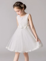 BX2823 White подписывается, чтобы получить корону