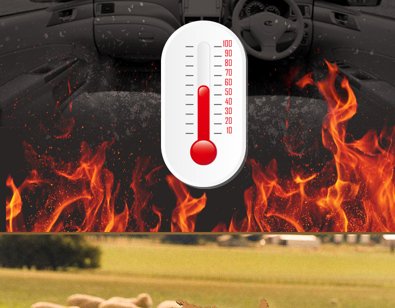 Сценарий (2) .jpg