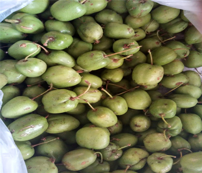 东北长白山新鲜野生圆枣子猕猴桃元园枣子狗枣