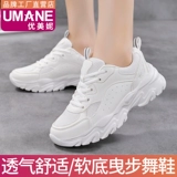 2025 Spring Mesh Tracing Shoes Jazz Женская спортивная танце