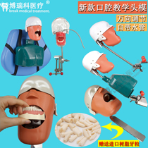  Dental simulation head die Skull implant root resin tooth practice Oral teaching pulp opening model tooth mold teaching materials