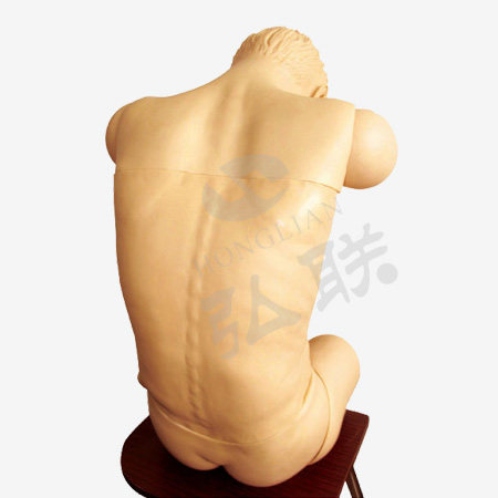 高级综合穿刺术技能训练模拟人（前倾坐位）GD/L260B