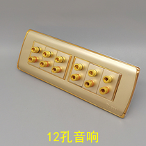 Champagne gold 118 six-position double-head audio gold six-head 12-hole speaker cable 5 1 surround audio banana head