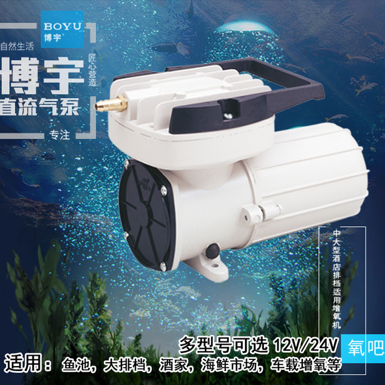 Boyu seafood row stall DC 12V oxygen air pump on-board 24V oxygenation pump air compressor storage battery Oxygen machine-Taobao