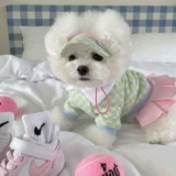 Брендовая демисезонная теннисная шапка, шахматы, юбка, удерживающая тепло футболка, (в наличии на складе), Южная Корея