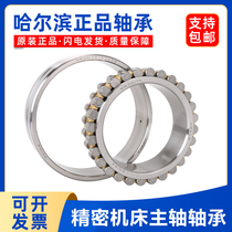 Harbin machine tool spindle bearing NN 3006 3007 3008 3009 3010 3011 3012 K