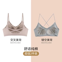 Цвет чая с молоком (кросс -красавица)+лунный свет серый (пустая красавица назад)