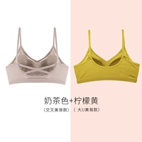 Цвет чая с молоком (кросс -красавица)+лимонный желтый (Big U Beauty Back)