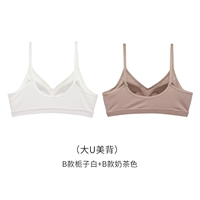 Gardenia White+Milk Tea Color [Big U Beauty Back]