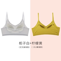 Gardenia White (Cross Beauty Back)+лимонный желтый (Big U Beauty Back)