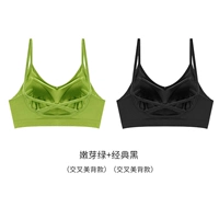 Bud Green + Classic Black [Crossover Beautiful Back]