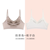 Цвет чая в молочном чае (Cross Beauty Back)+Gardenia White (Big U Beauty Back)