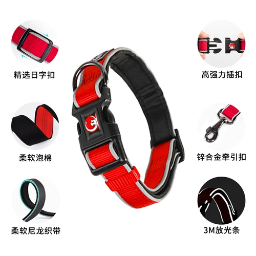 Dog Circle Golden Roller Big INU Sect Circle Teddy Puppy Shiba inu fa dou douright -size Circle Circle Persion