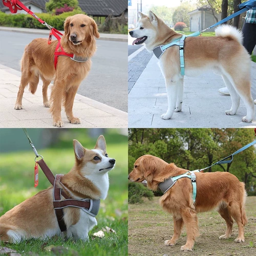 Жилет -тип собачья веревка Тедди Корки -Bear Shiba Inu маленький средний для собачьего грудного ремня для собачьего ремешка для собачьей цепь