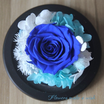 Christmas birthday gift mini glass cover Forever Flower rose combination car rose Glass finished