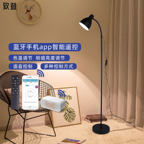 led floor lamp lamp infinitesimal dimming live Net red living room Nordic simple ins sofa side