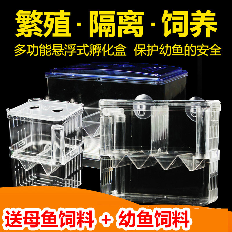 Fish tank isolation box Peacock fish hatchbox tropical fish small fish juvenile fish hatchbox spawning and hatching production of small fish fry