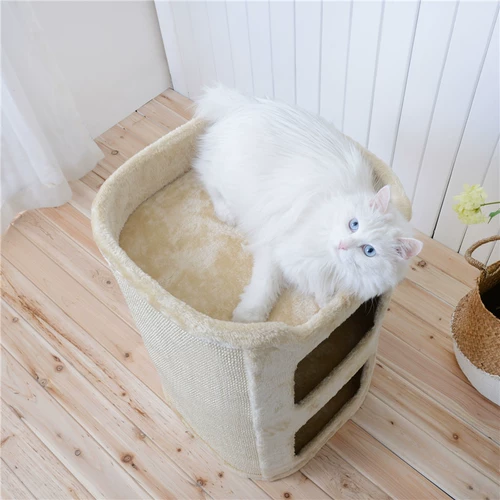Мечи и горничная кошка кошка кошачья кошка