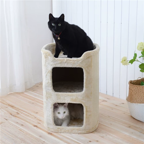 Мечи и горничная кошка кошка кошачья кошка