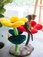 Meizi Cat & Kerry Flower Cat Cating Cat Cat West Cat Tree вместе Douyin То же самая сеть красная кошка скалолаза