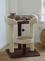 Чистая красная марионетка Benin Cat West Fat Cat