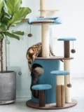 Meizi Cat & Kerry Cat Cavaling Cat West вместе Maiba Меч меч Джекс кошка хватает кошку