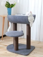 Кошка поднимает стойку для маленького кошачьего гнезда