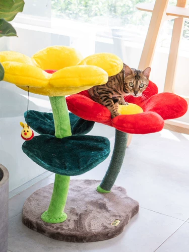 Meizi Cat & Kerry Flower Cat Cating Cat Cat West Cat Tree вместе Douyin То же самая сеть красная кошка скалолаза