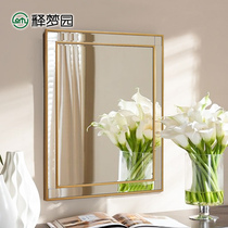 Nordic bathroom mirror Toilet toilet Toilet mirror Bedroom dressing mirror Entrance decorative mirror 2061