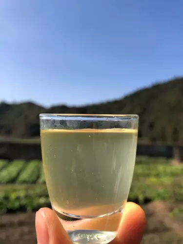 风物先生 | Ручная работа Osmanthus выдержание рисового вина Chongyang фестиваль пивоварение 3 кора
