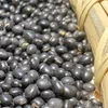 Товары от 风物先生