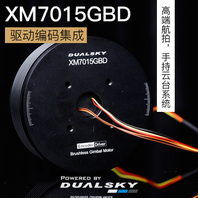 DUALSKY Two-Day XM7015GBD 7010GBD Drive Coding Integration Aerial Vping Cloud Servo Motor