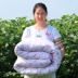 Bông gạc bao gồm lót quilt bìa bông quilt bìa bông gạc bao gói bông lốp quilt bìa bông quilt chăn mỏng mùa hè Quilt Covers