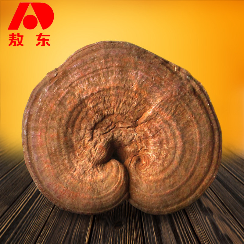 Jilin Aodong Chisinzhi 250g-half catty with long white Mountain Lucid Lucid slices of Linzhi Sesame Seeds free slicing with sporty powder