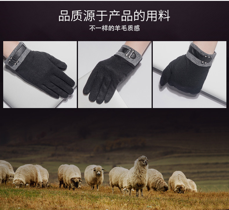 Gants pour homme en Laine Cachemire - Ref 2781601 Image 8
