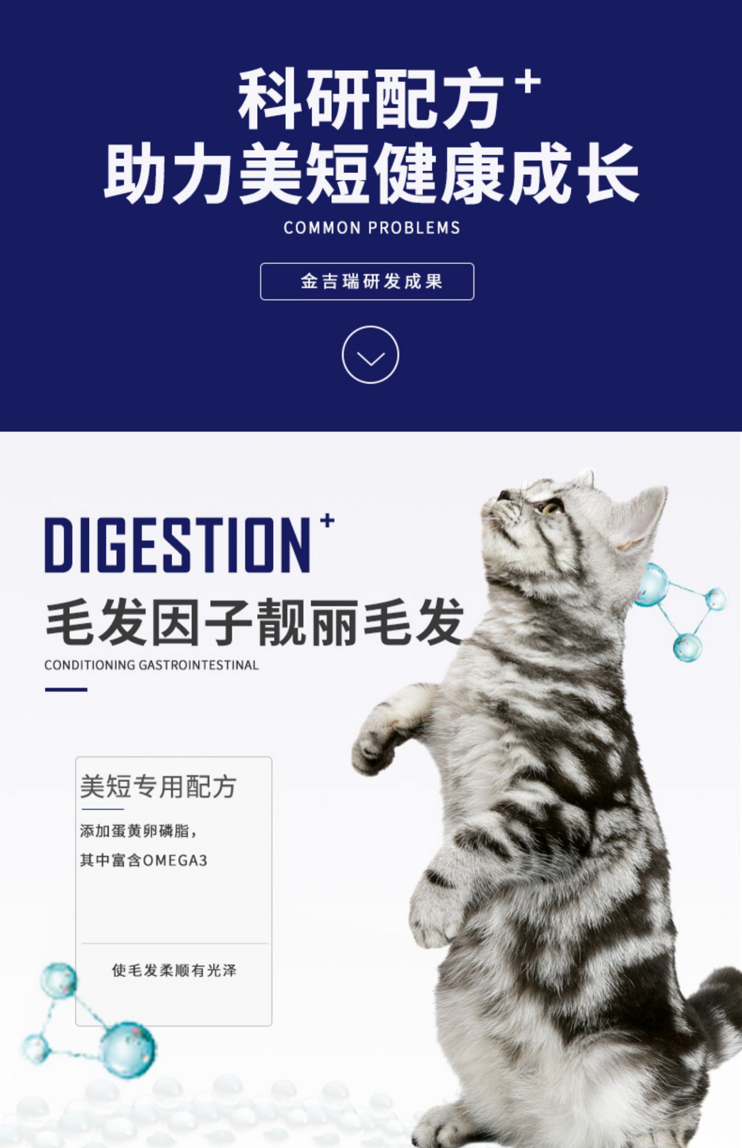 Kingjerry làm đẹp mèo thức ăn ngắn mèo thức ăn cho mèo mèo 1-4 tháng 5 kg 2,5kg25 tỉnh - Cat Staples mua thuc an cho meo