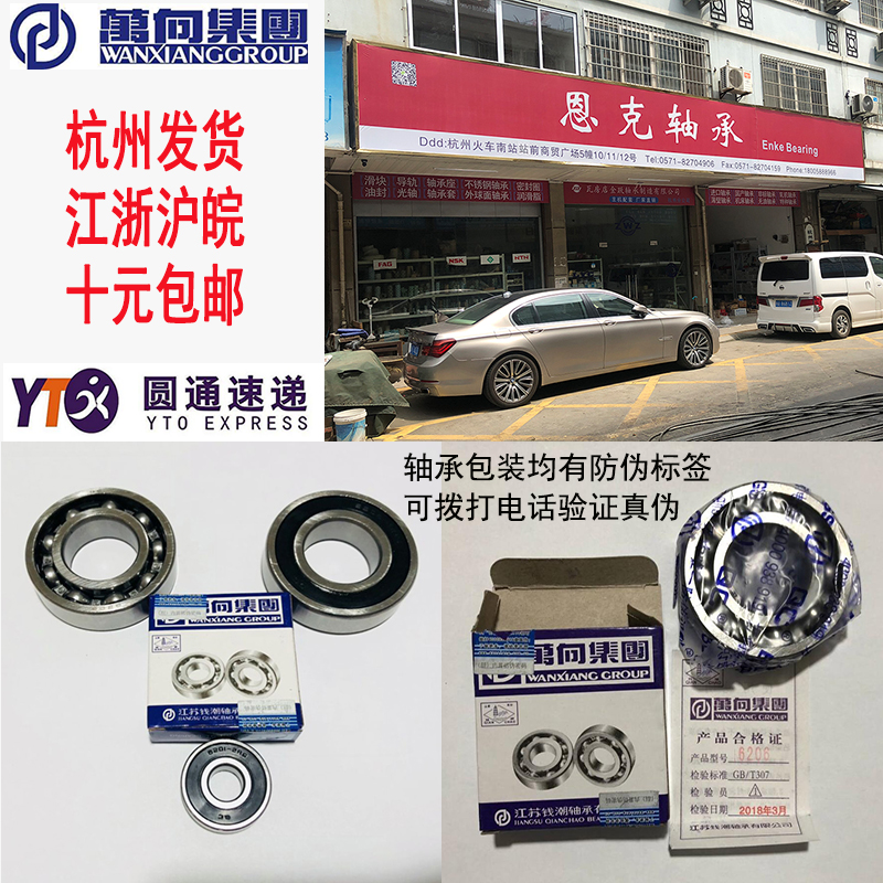 7008AC 7024ACM 6022 6024 51122 32207 Special bearing for metering pump