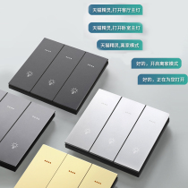 Sky Cat Elf Smart Switch Panel Home Hotel Folk Voice Home Light Control Small Rice Family Remote Control