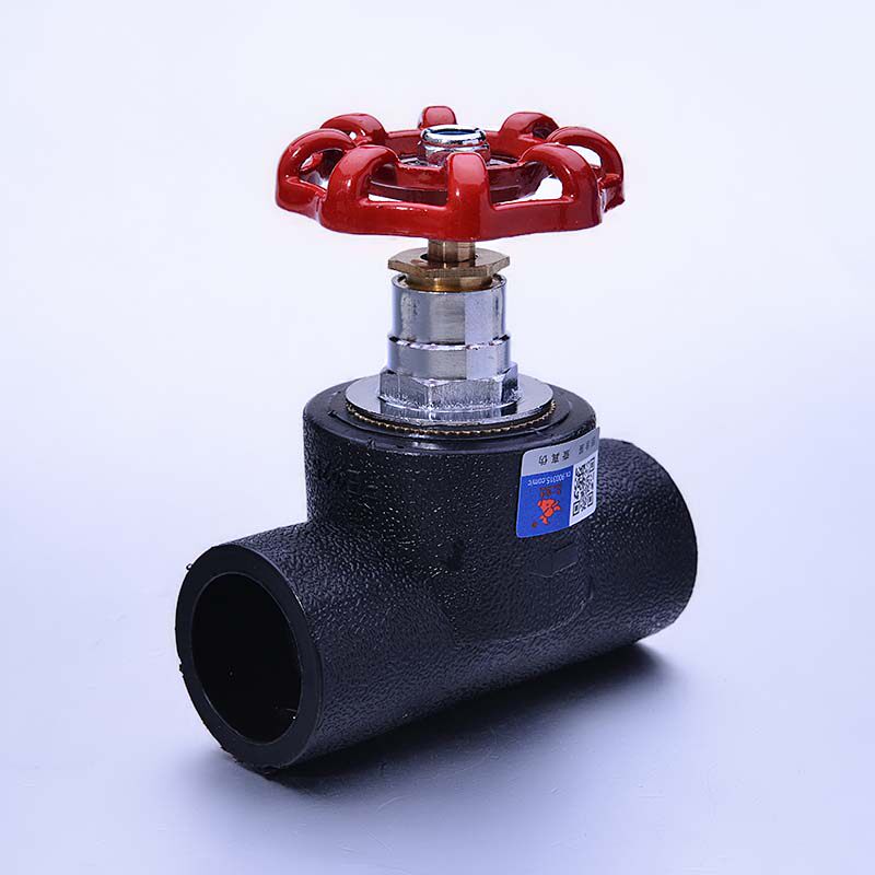 Tianyi Taurus PE shut-off valve Valve HDPE water supply pipe 4 minutes 6 distribution fitting pipe fitting pe water pipe fitting