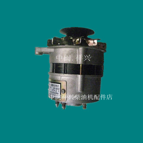Shanghai 495A Diesel Engine Parts 495A Motor 495AC Motor JF200 Motor 2311Y Motor
