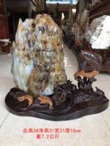 Tree jade ornaments petrified wood raw stone silicified wood wood jade Debaibing seed material tree fossils ornamental strange stone ornaments