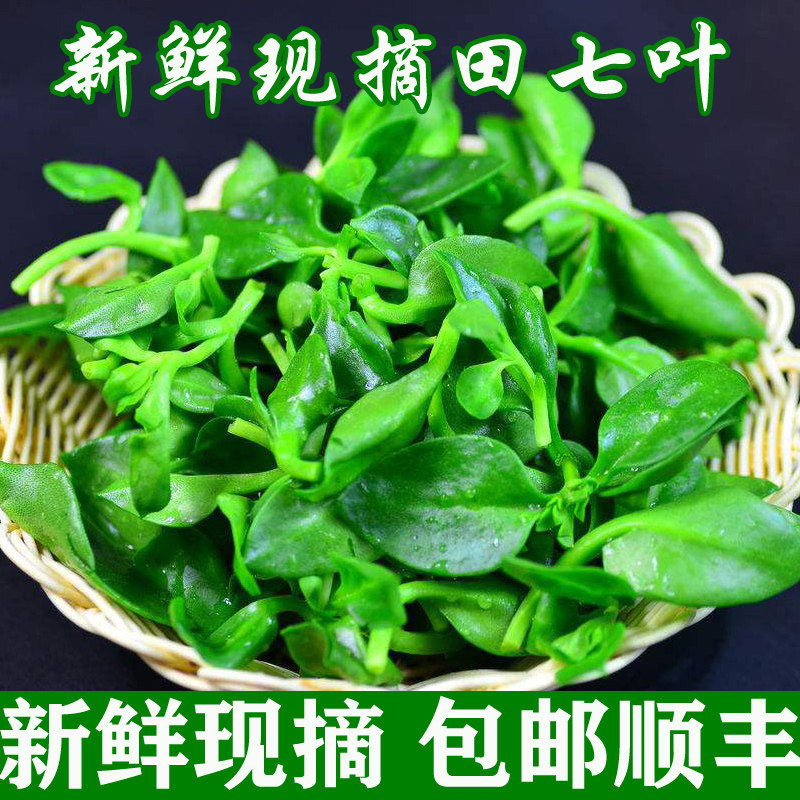 田七叶新鲜现摘3斤!救命这波助农真的太香了!💥-其它-淘宝好物网