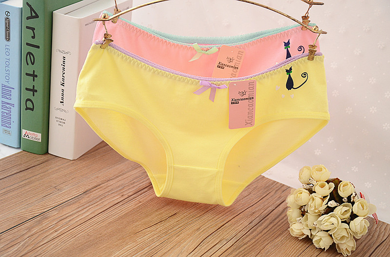 Slip jeune 100% en coton - Ref 654091 Image 54