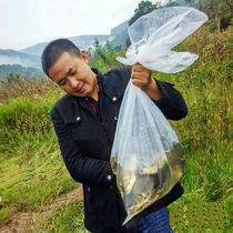 Super affordable thickened plastic oxygenated bag portable fish protective bag Oxygen Bag Fishing Bag Plastic Loading Fishing Bag Fishing Bag