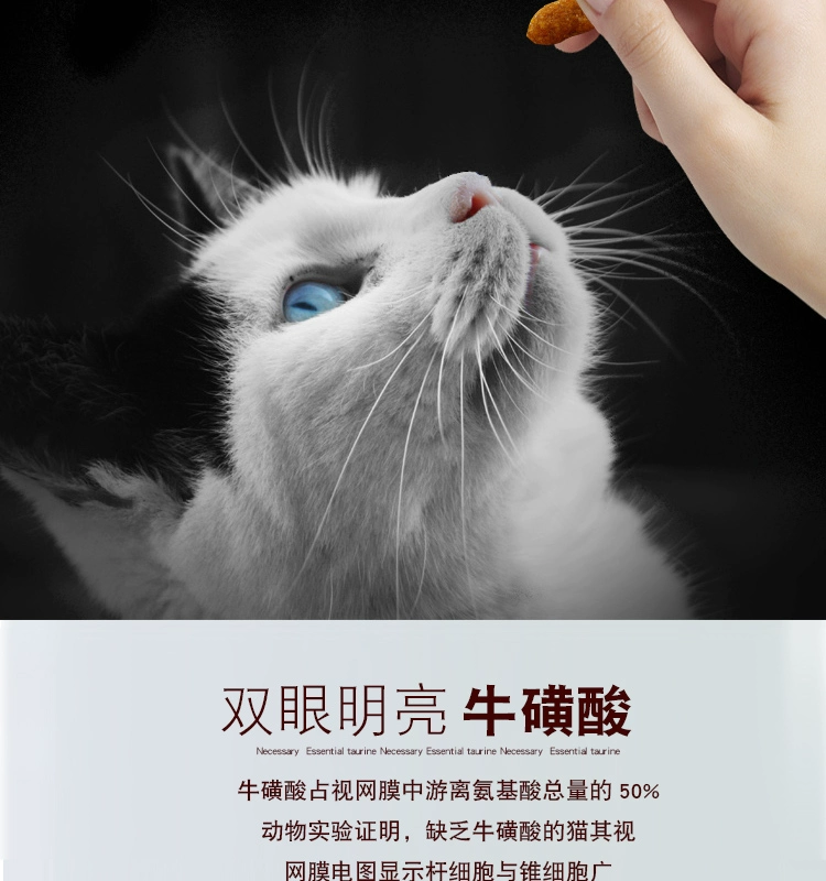 Chongyi Cheese Salmon Cat Food 3 pounds thành mèo con vỗ béo má mèo thức ăn chủ yếu 1,5kg Tiếng Anh ngắn đẹp ngắn - Cat Staples